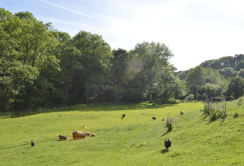 Troedyrhiw Bed & Breakfast