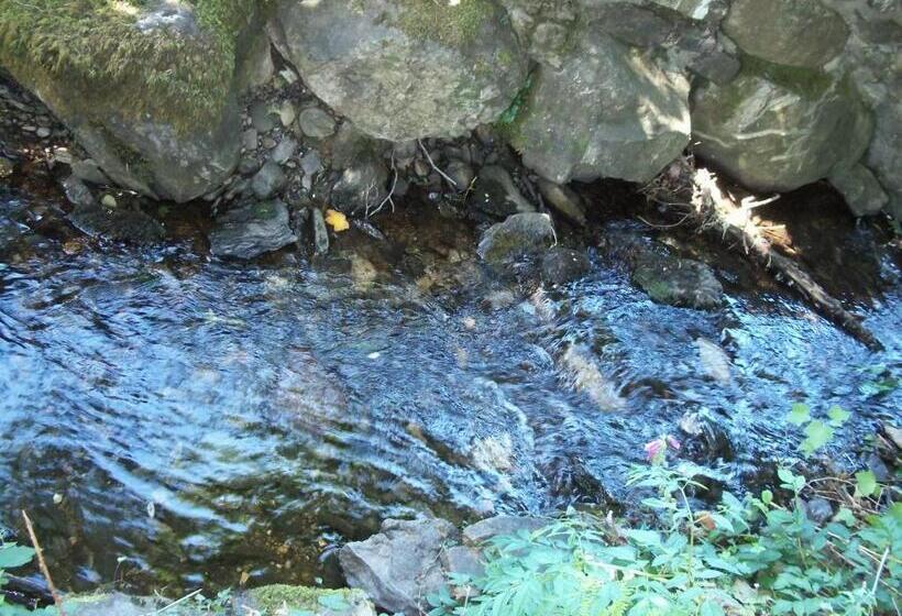 ベッドアンドブレックファースト Glenwood Guesthouse Betws Y Coed