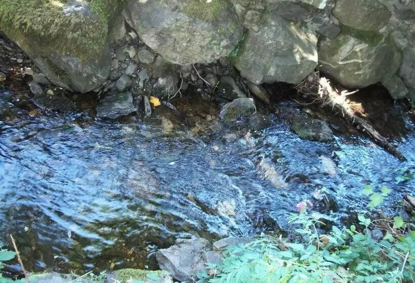 ベッドアンドブレックファースト Glenwood Guesthouse Betws Y Coed