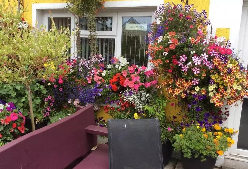 ベッドアンドブレックファースト Globe Guesthouse