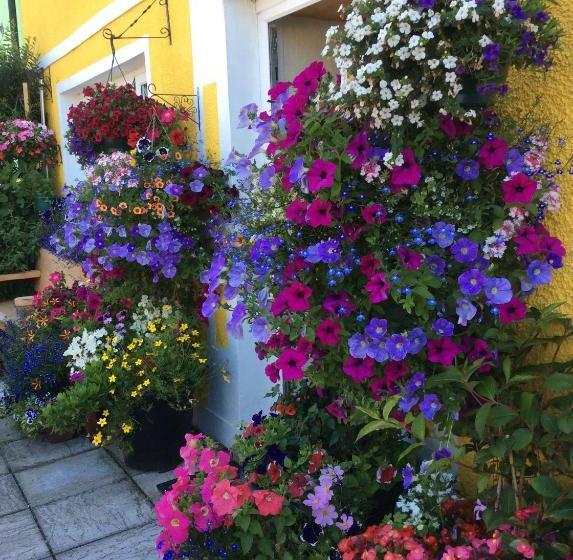 住宿加早餐 Globe Guesthouse