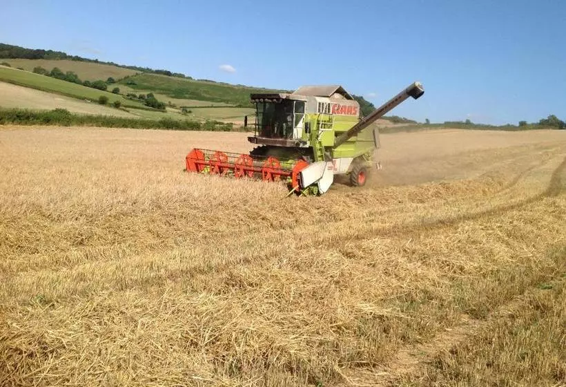 تختخواب و صبحانه Lower Pinn Farm