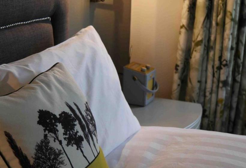 مبيت وإفطار The Windsor Guest House