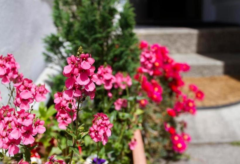 تختخواب و صبحانه Woodstock Guest House