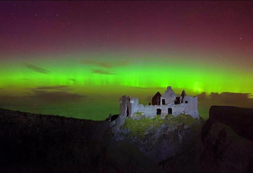 فندق Albany Lodge