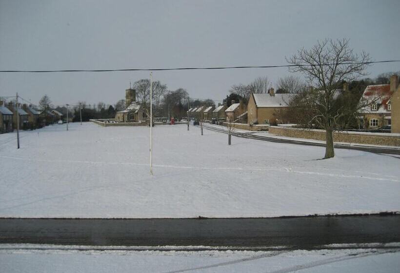 Отель Great Danes Licenced Guesthouse