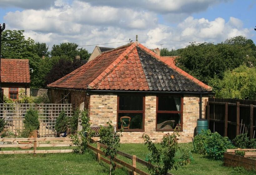 Отель Great Danes Licenced Guesthouse