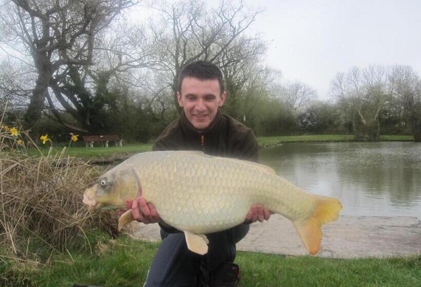 리조트 Warrens Village Motel And Self Catering