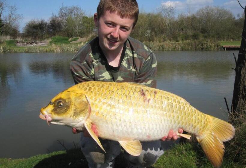 리조트 Warrens Village Motel And Self Catering