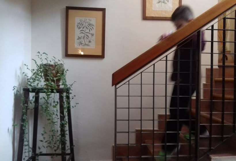 ユースホステル Casa Julián Fábrica Giner