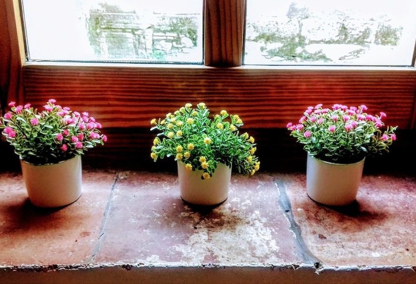 ユースホステル Casa Julián Fábrica Giner