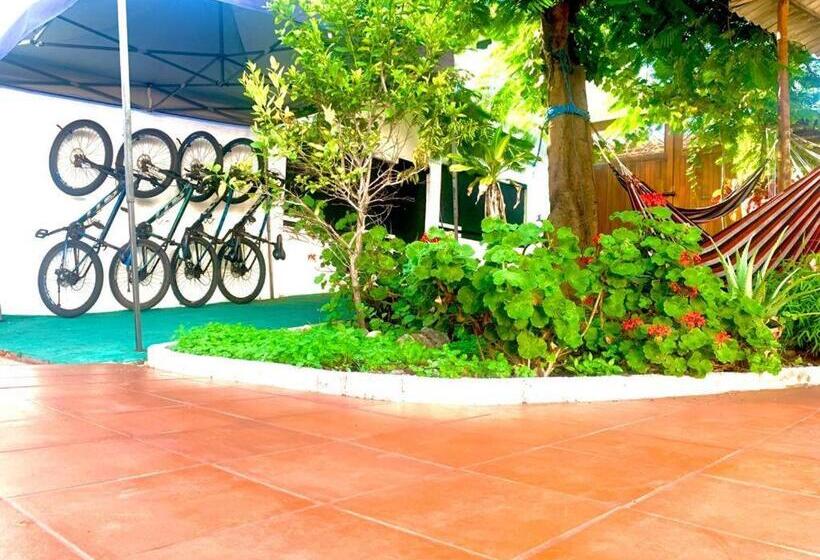 הוסטל Hostal White House Galapagos