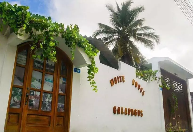 ユースホステル Hostal White House Galapagos