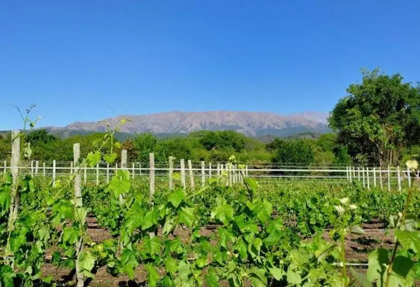 ベッドアンドブレックファースト Finca Cielo Verde