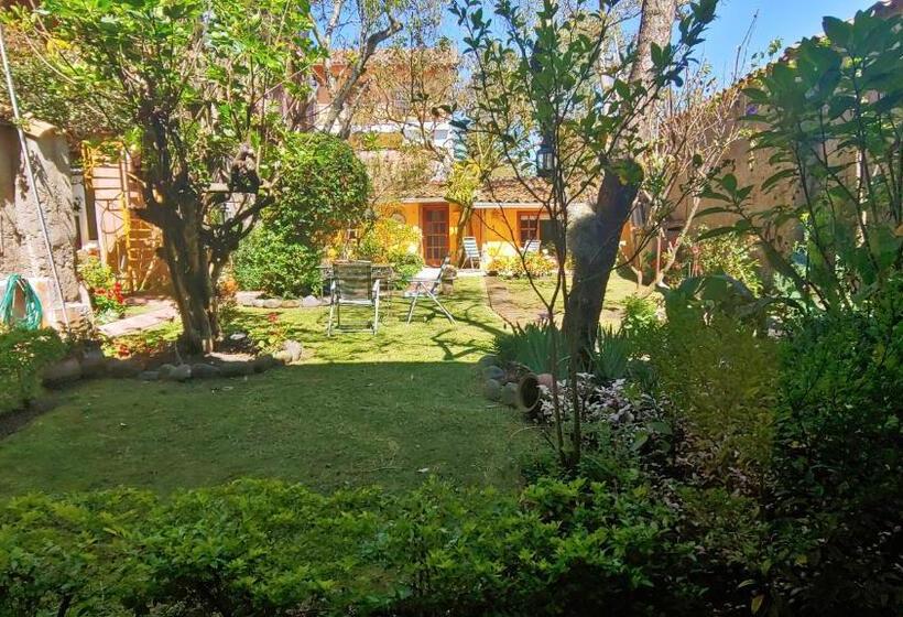 Casa Montalvo Bed & Breakfast