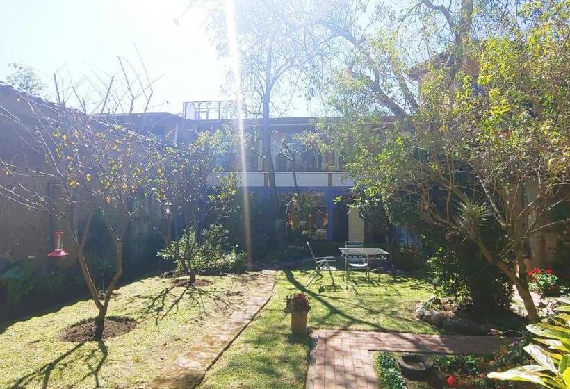 Casa Montalvo Bed & Breakfast