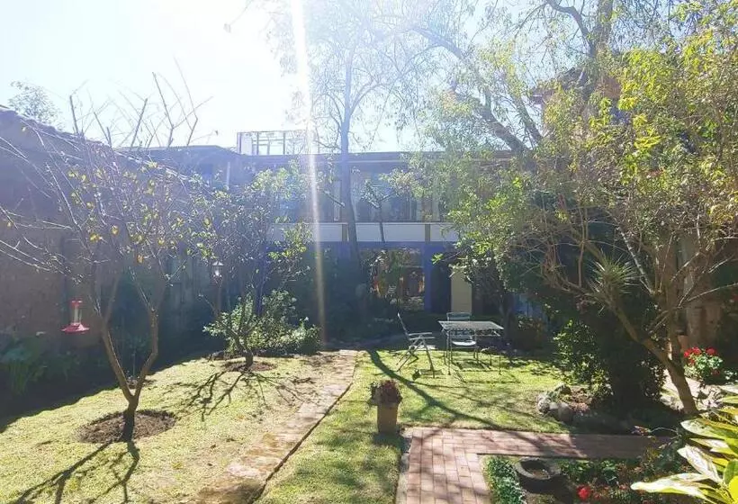 Casa Montalvo Bed & Breakfast