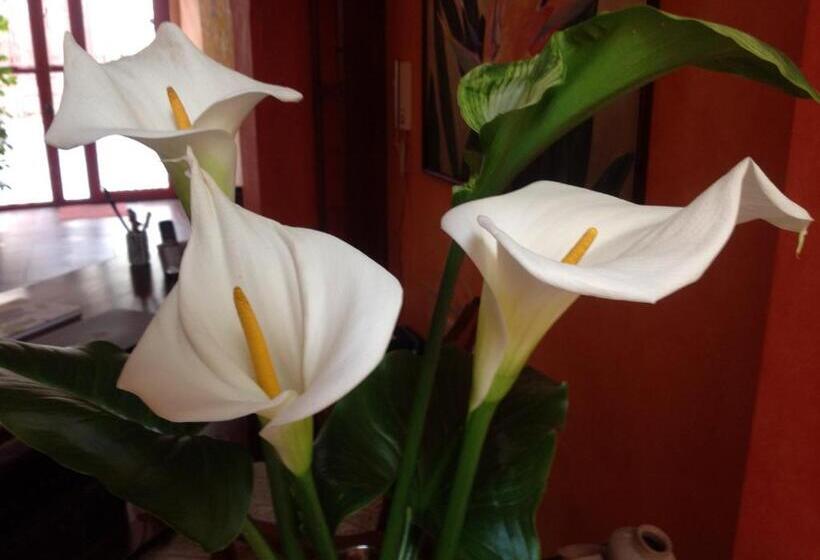 Casa Montalvo Bed & Breakfast