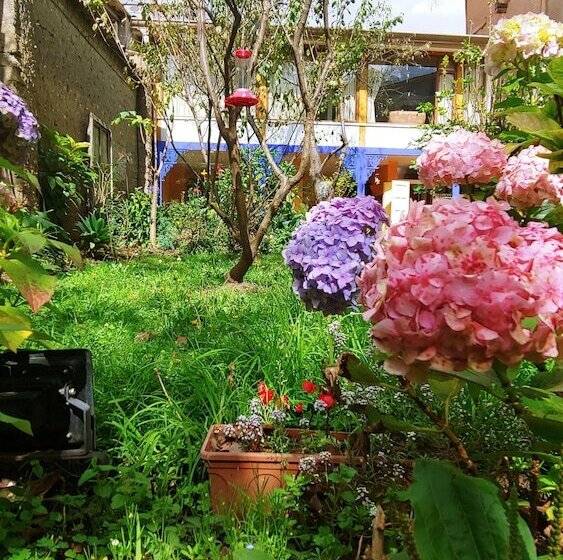 Casa Montalvo Bed & Breakfast