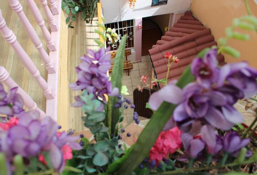 Отель Hostal Yumbo Imperial