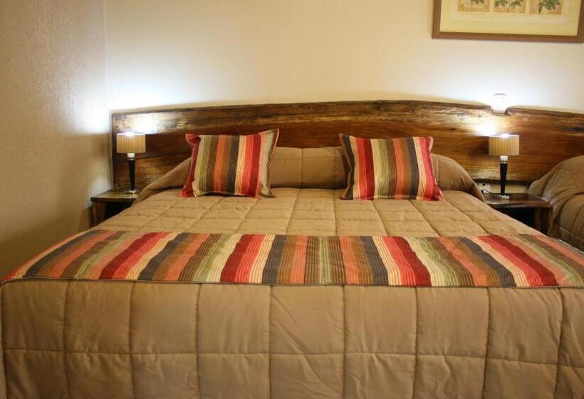 Hotel Posada Del Jacarandá