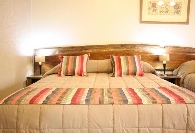 Hotel Posada Del Jacarandá