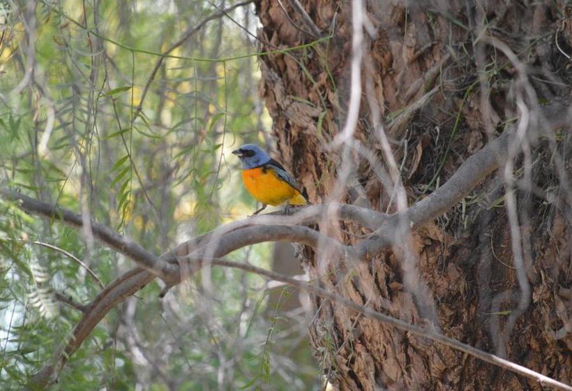 בית מלון כפרי Rustico Cerro Del Valle