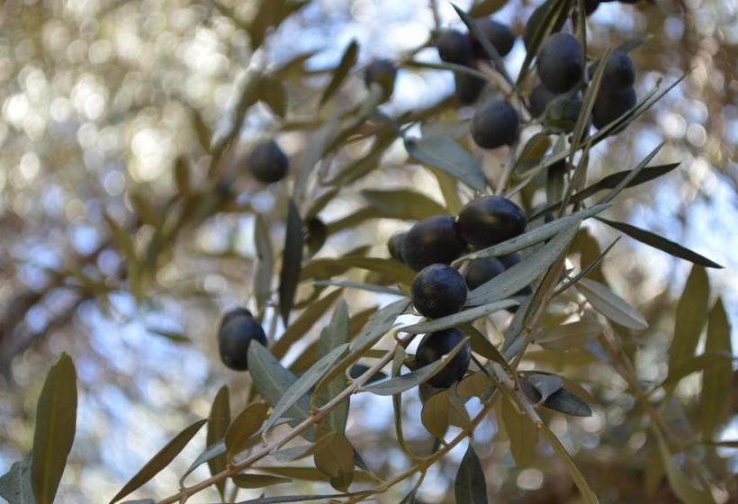 בית מלון כפרי Rustico Cerro Del Valle