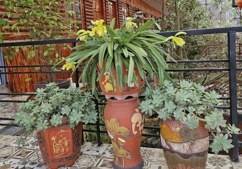 هتل Dang Khoa Sapa