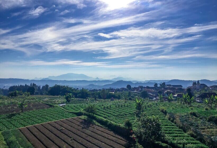 Отель Tangko Inn Resort