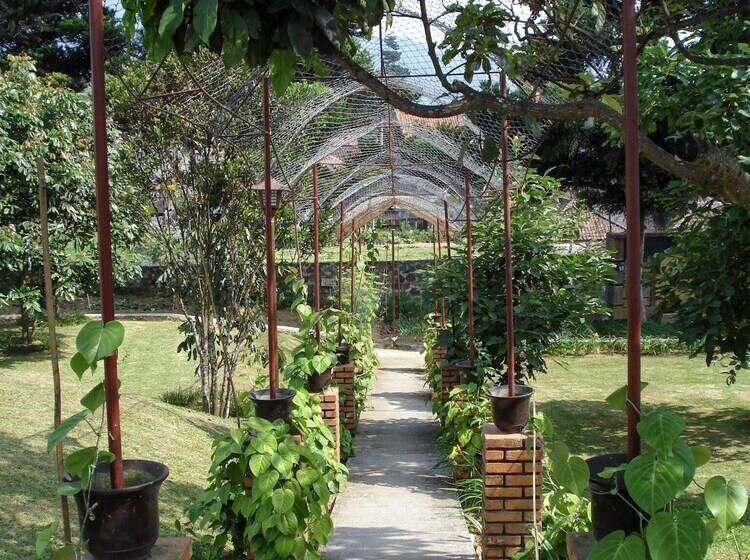 Отель Tangko Inn Resort