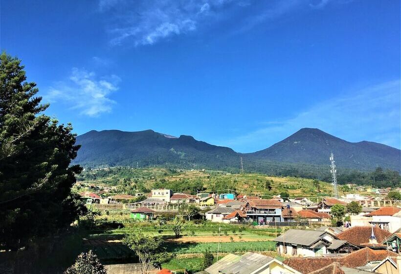 Отель Tangko Inn Resort