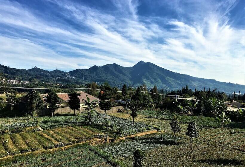 Отель Tangko Inn Resort