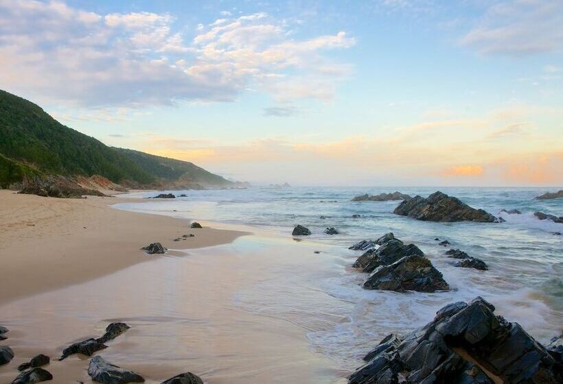 Moon Shine On Whiskey Creek