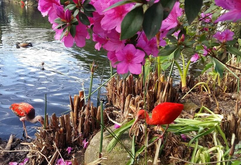 Moon Shine On Whiskey Creek