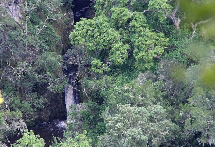Moon Shine On Whiskey Creek