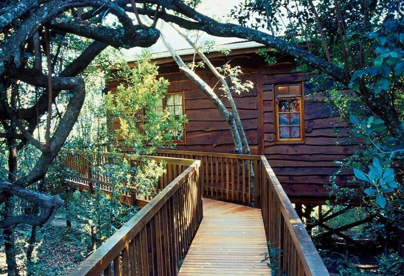 Moon Shine On Whiskey Creek