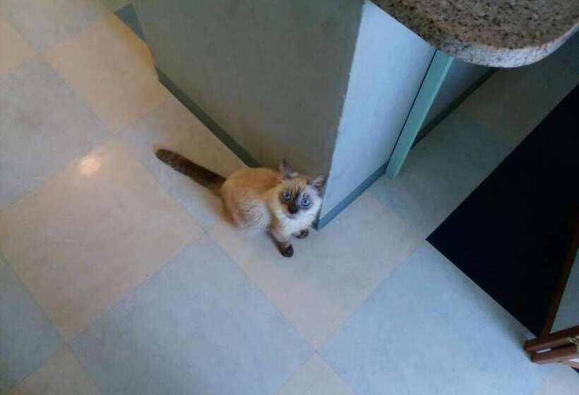 ペンション Guest House Sea Glass