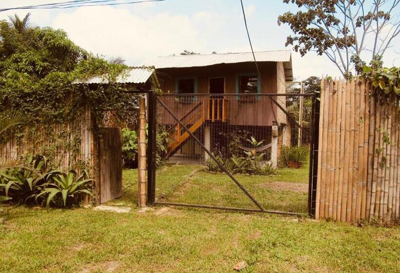 The Mudhouse Hostel Mompiche