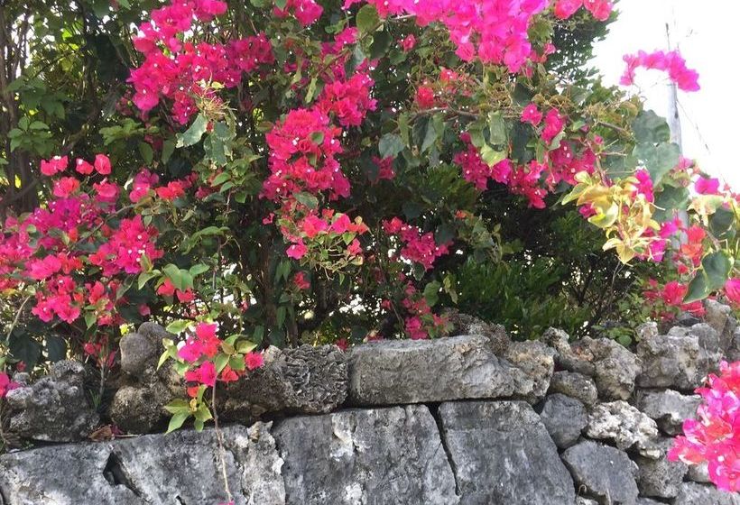 Trip Shot Villas Hamahiga