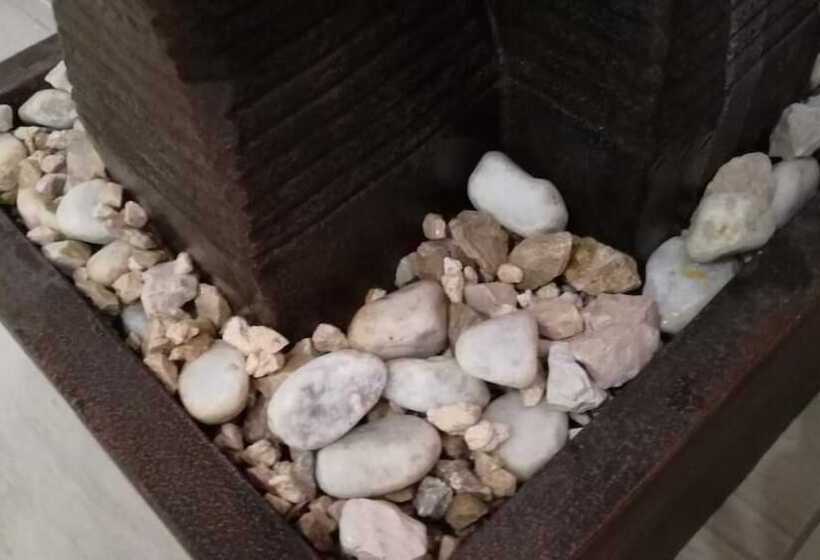 Bonsai Bed & Breakfast