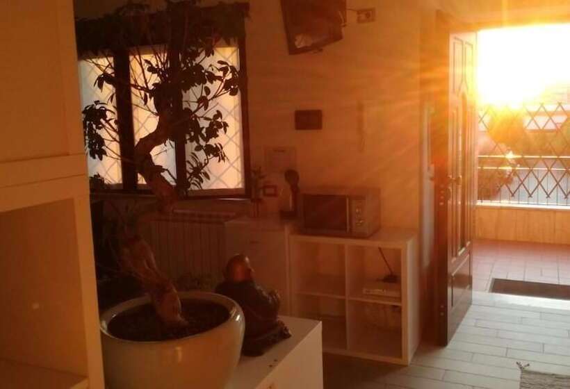 Bonsai Bed & Breakfast