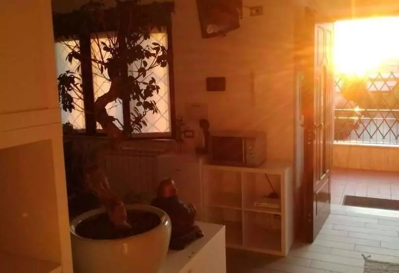 Bonsai Bed & Breakfast