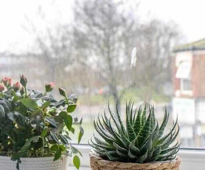 בית מלון כפרי Burren London