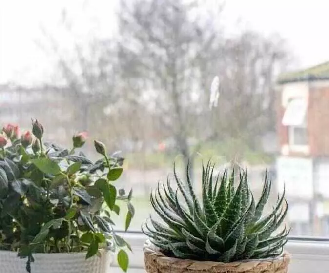 Hotelli Burren London