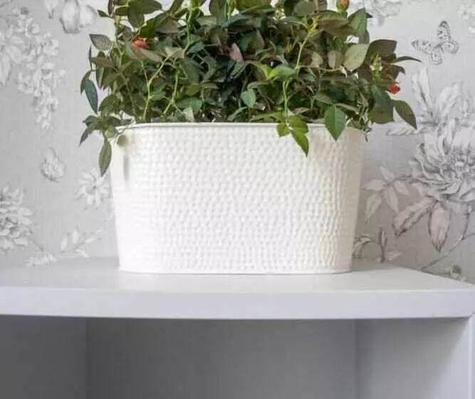 Hotelli Burren London