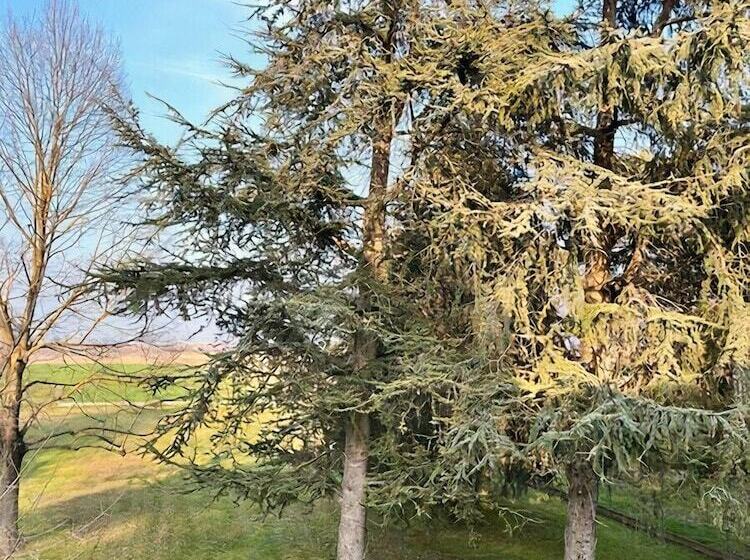 Pensjonat B&b Villa Erika