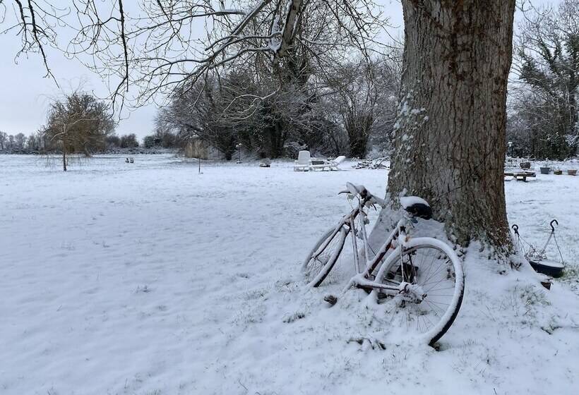 膳宿费 La Villa Mirabelle