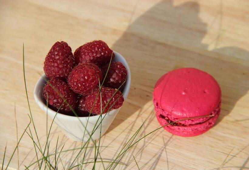 膳宿费 La Villa Mirabelle