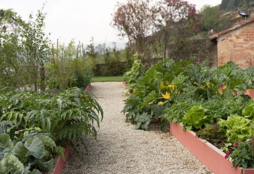 簡易ホテル Vigne Di Fagnano 1709 Eco Relais